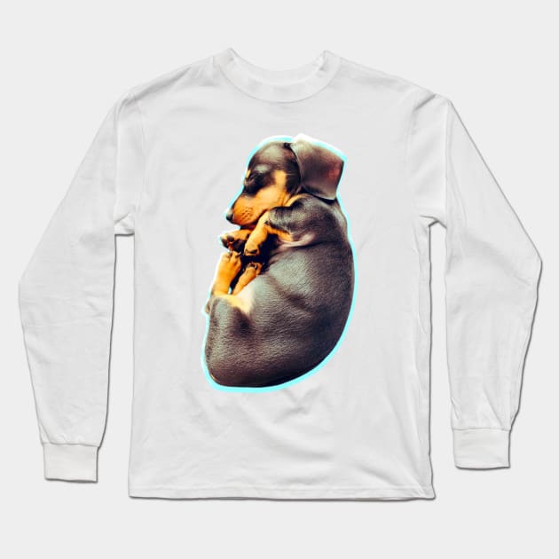 Puppy power - Cava Long Sleeve T-Shirt by bobdijkers